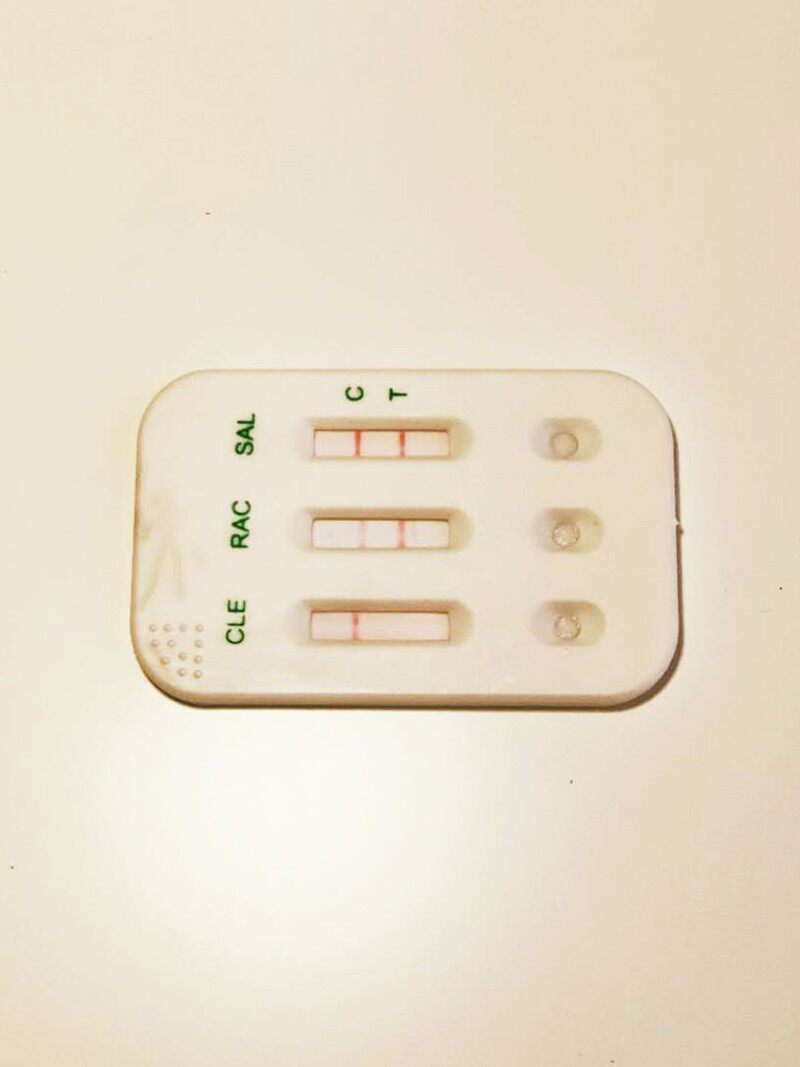 速发快速检测卡火锅麻辣烫底料汤料烤鱼烧烤试剂盒