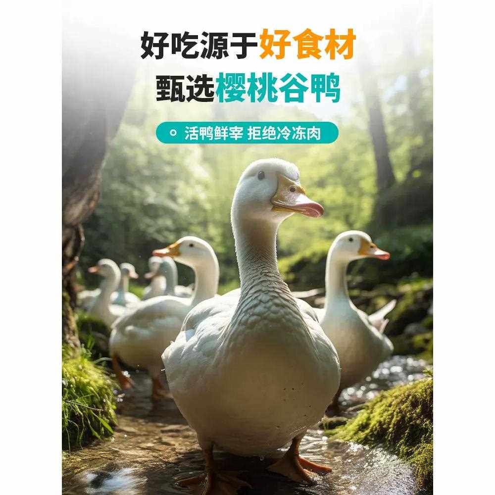 恋上甜辣卤香鸭脖卤味真空麻辣鸭脖子小包装小零食鸭脖500克