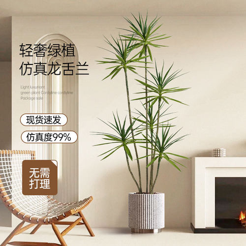 速发绿植龙栽树轻奢室假大型盆血仿生植物客厅装饰摆件落地内花树