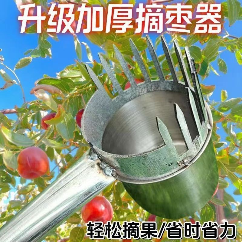 速发摘枣神器专用摘杷枣器摘杨梅水果采摘工枣枇酸款山具大小