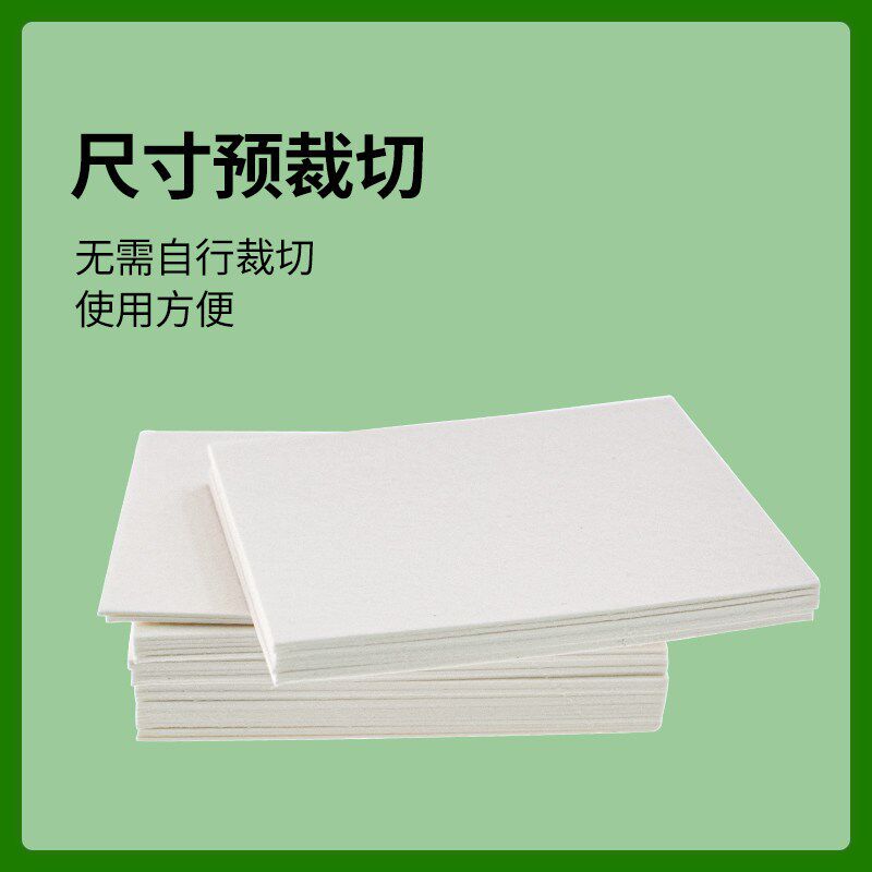 速发Wb转印滤纸湿转er blot适用伯乐/天能/六一/rmo转膜滤纸图片