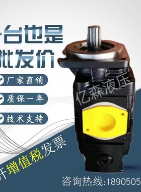 凯斯帕CASAPPA齿轮泵KP30.24/27/38/51-33S3-LMDMB-45-HSC/PLP20