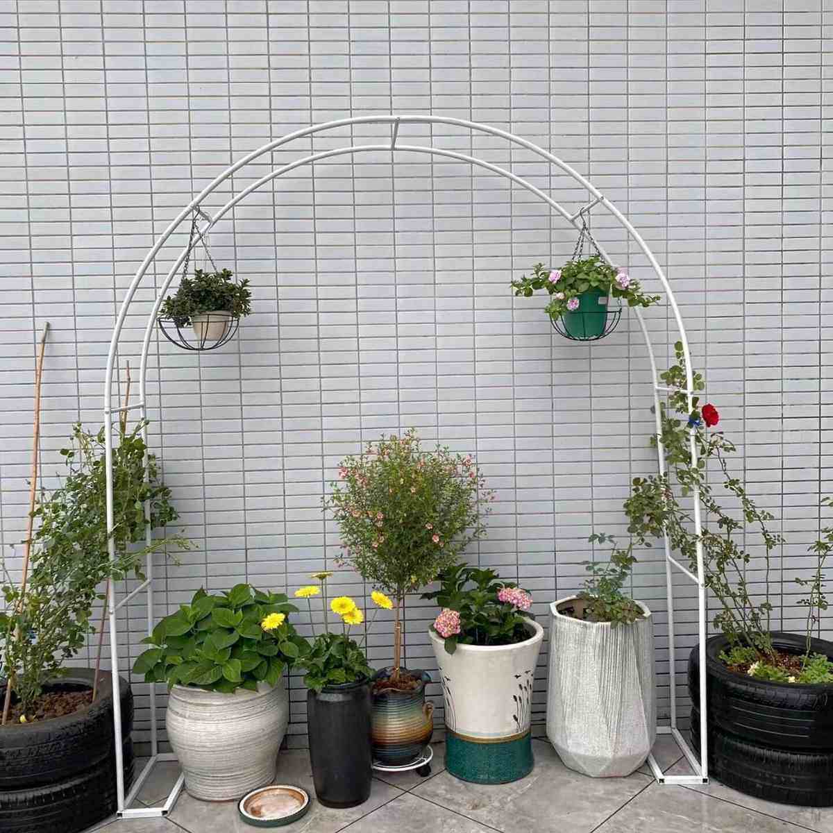 铁艺拱门花架户外庭院花园爬藤架子月季植物支撑杆阳台装饰弧形,鲜花速递/花卉仿真/绿植园艺,花架,淘宝优惠券,粉丝福利购,淘宝优惠卷