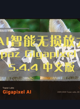 AI人工智能图片无损放大增强清晰度Topaz Gigapixel AI中文版