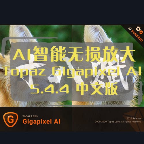AI人工智能图片无损放大增强清晰度Topaz Gigapixel AI中文版