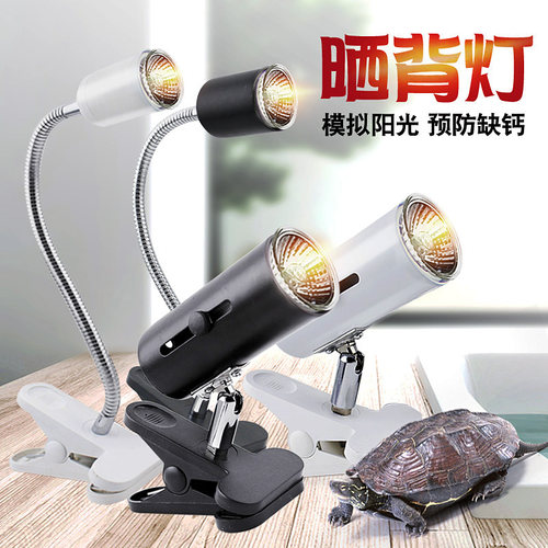 乌龟晒背灯三合一太阳灯 爬宠专用加温加热灯泡家用调光选择