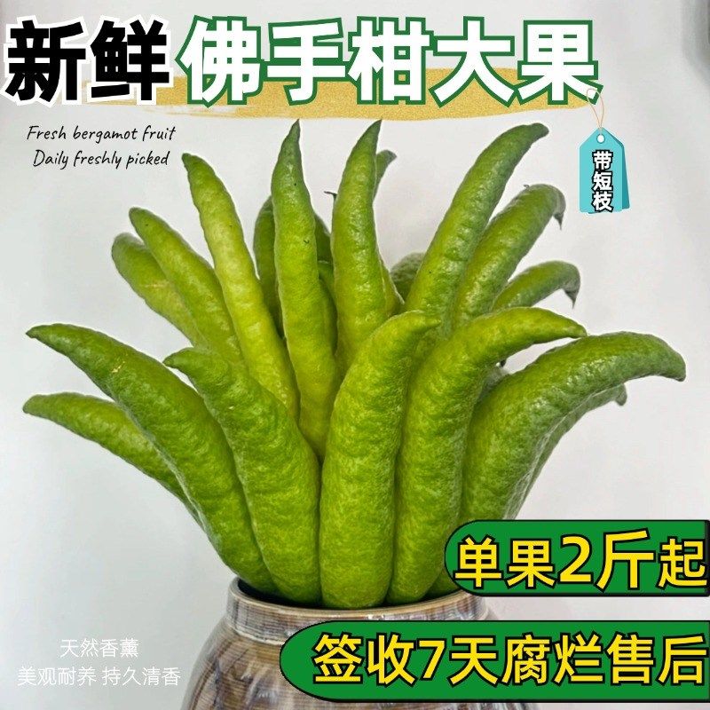 佛手柑大果客厅桌面绿植清供礼佛卧室内盆栽带枝水养观赏香薰,鲜花速递/花卉仿真/绿植园艺,绿植,淘宝优惠券,粉丝福利购,淘宝优惠卷