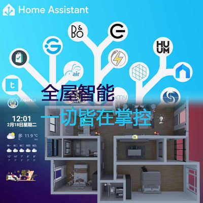 HomeAssistant 盒子 HA智能家居网关 含Home assistant技术服务