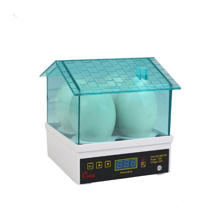 新枚迷你孵化器孵蛋器小型家用型全自动J鸡鸭枚鸟蛋小鸡儿童孵化