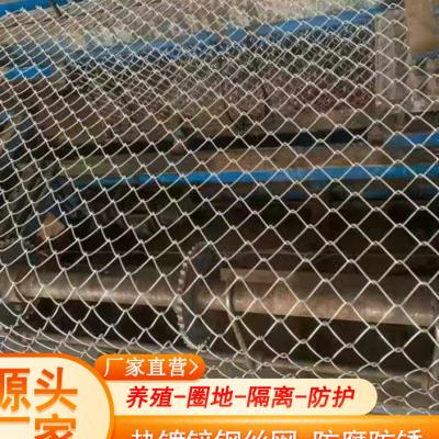 极速镀锌钢丝网围栏养殖护栏网养鸡养狗围牛羊果园防护栅栏网菱形