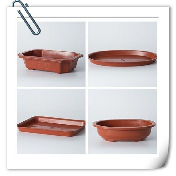 大口浅底花盆浅口宽口大多肉大号种肉肉的花盆矮扁塑料低托盘超大