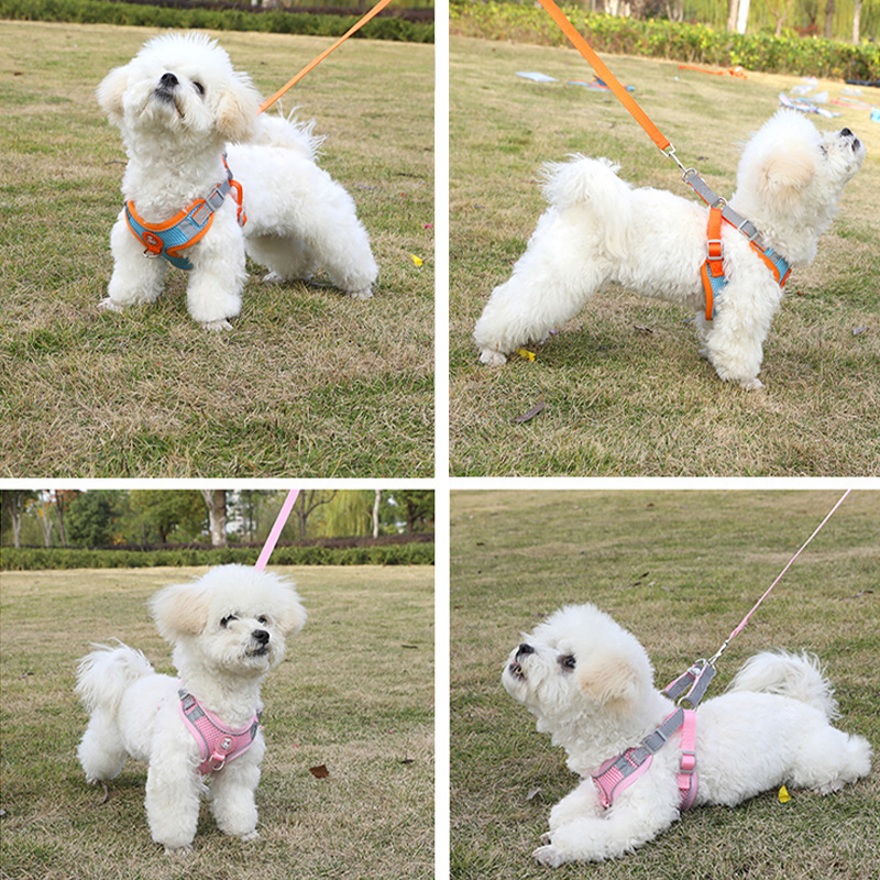 宠物用品背心式牵引绳小型犬遛狗猫咪泰迪外出防挣脱反光胸抱婴袋