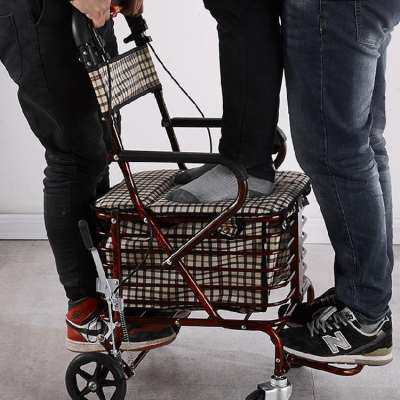 老人家带轮子手推车万向轮小推车折叠座椅两用老年人推车拉车轻便