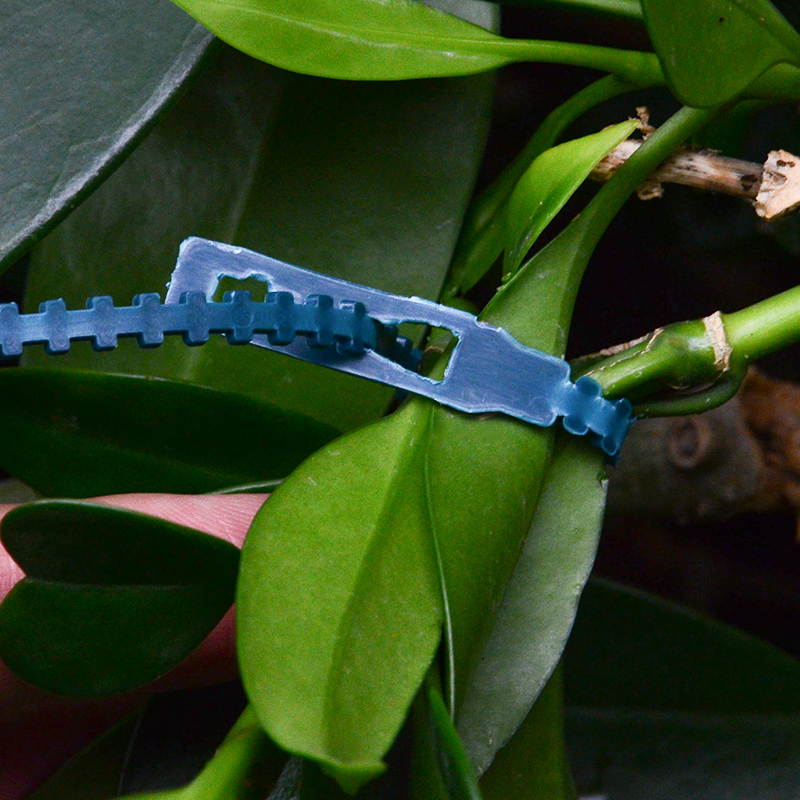 50pcs Adjustable Plastic Plant Cable Ties Reusable Cable Tie