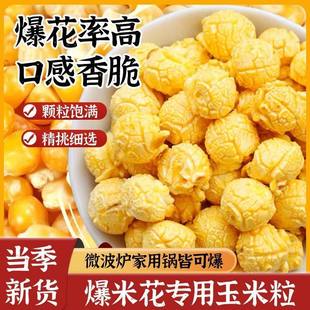 影院爆米花专用玉米粒家用自做球形爆米花原料爆裂玉米爆花玉米粒
