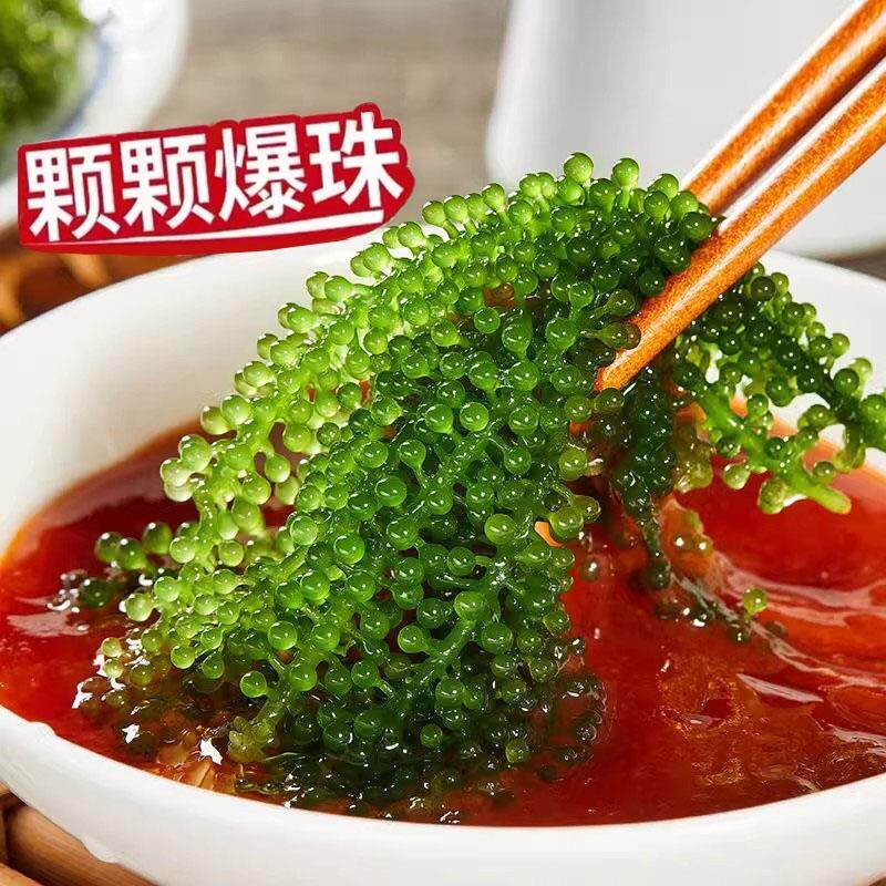 现货盐渍海葡萄新鲜即食儿童海带海藻草凉拌菜绿色鱼子酱火锅寿司