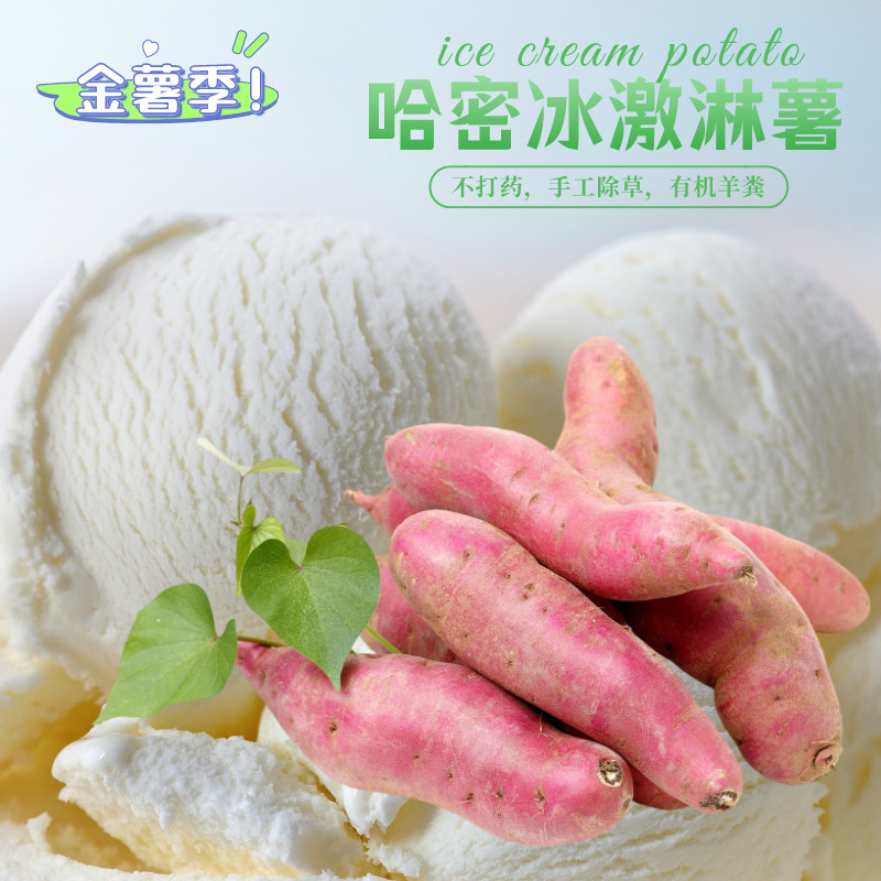 现货金薯季哈密牛奶冰糖心蜜薯新鲜白心红薯超甜烟薯冰激凌薯沙地