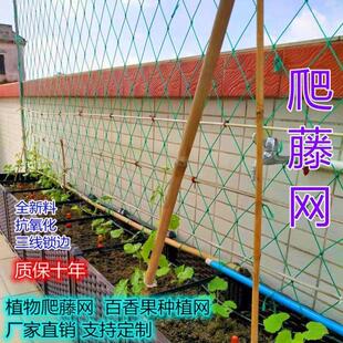 瓜棚网瓜豆绿植花墙爬藤网爬藤网庭院园艺花支架爬藤架屏风可造型