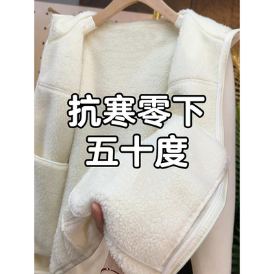 摇粒绒外套女羊羔毛羊羔绒冲锋衣内胆加绒加厚卫衣巨好看的厚冬季