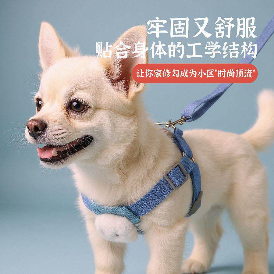 网红可爱卡通立体泰迪耐磨外出防挣脱狗狗猫咪遛狗绳子背心牵引绳