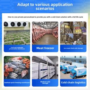 冷库冻库全套设备定制肉类速冻水果保鲜冷藏库商用大中小型冷冻库