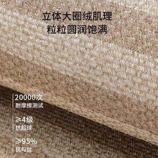 客厅地毯家用轻奢高级感沙发茶几垫子免打理卧室床边地垫 2024新款