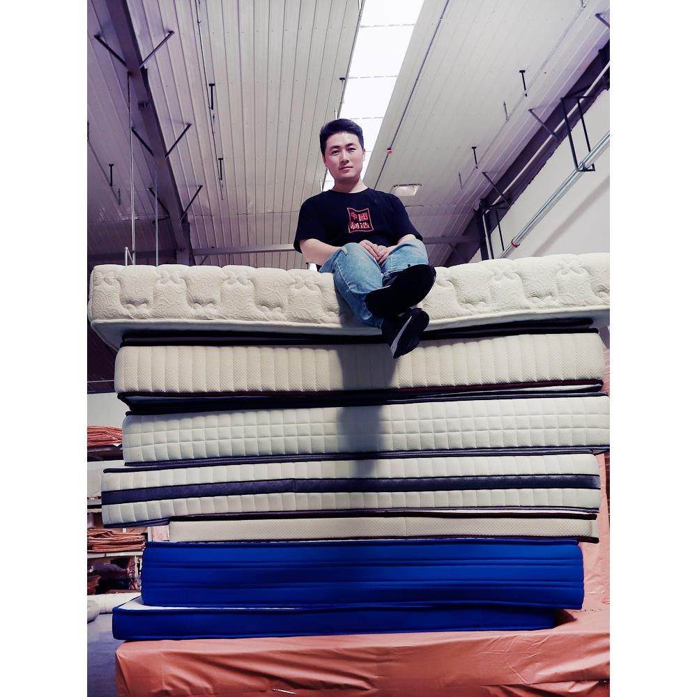 若野 2024独立弹簧 乳胶床垫 椰棕垫 0压记忆棉1.5米1.8m