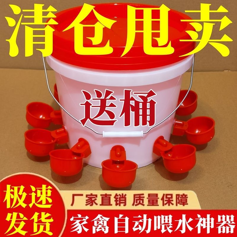 新款家禽鸡鸭饮水器喂鹅喂鸡水桶小鹅喂鸡水壶养鸡设备全套
