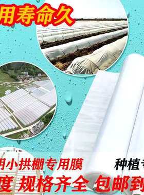 农用种植白色透明塑料薄膜小拱棚保温蔬菜大棚膜地膜二模加厚
