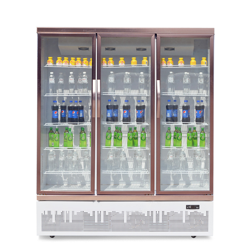 安淇尔豪华门风冷展示菜场用大冰柜立式冷藏保鲜茶叶超市饮料展柜