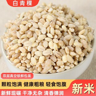青稞米新米西藏青海农家大麦粒粗粮纯青稞大米麦仁五谷杂粮糙米饭