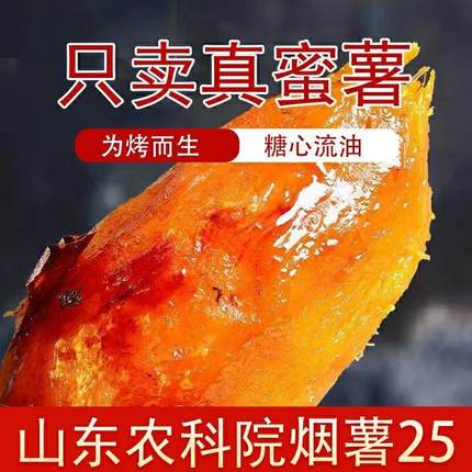 正宗山东烟薯25号流油商用糖心稀蜜薯血管地瓜新货烤红薯红心密薯