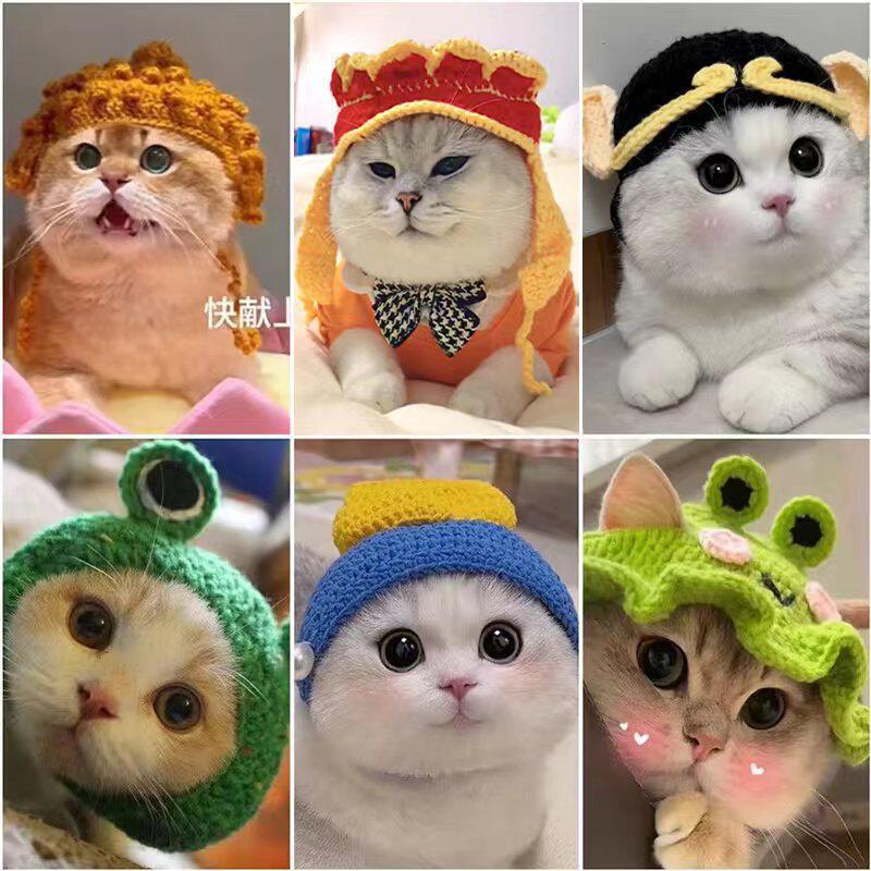 宠物猫咪狗狗手工编织帽子cospaly道具头饰搞笑变身宠物帽子