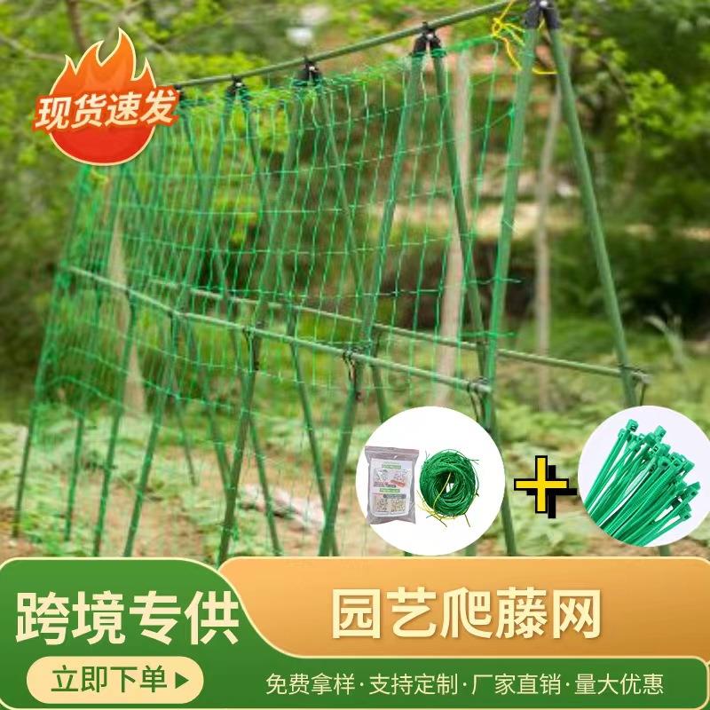植物爬藤网 跨境厂家爬藤格网花架黄瓜吊瓜攀援抗倒伏花卉格子网