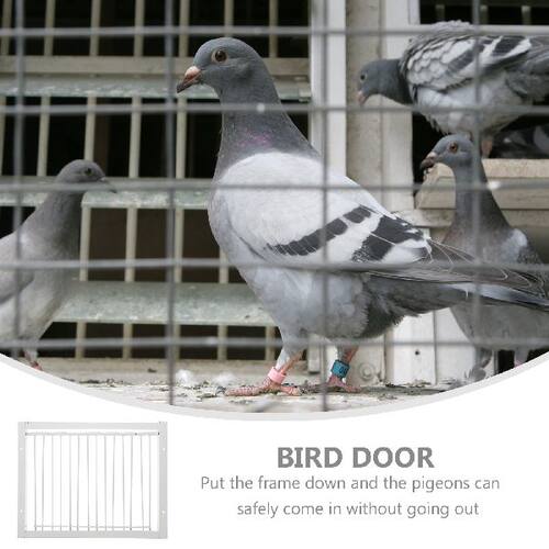好货Door Pigeon Bird Cage Entrance Iron Racing Way Traps Bar