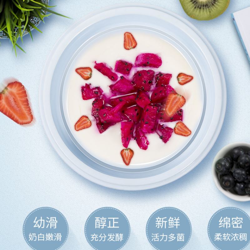 新品家用全自动酸奶机恒温发酵迷你玻璃内胆分杯米酒纳豆机厂