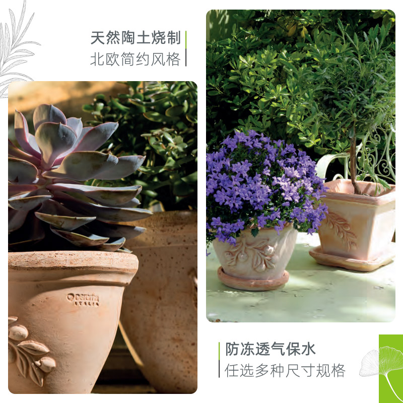 好货帝罗马橄榄枝手工陶盆香草柠檬浮雕白陶阳台天然陶土兰花花盆