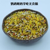 鹦鹉断奶学吃无壳粮牡丹玄凤小太绿颊黄边鹦鹉断奶无壳粮学吃鸟粮