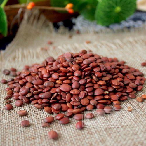 内丘县酸枣仁枣酸泡酒枣新鲜零食酸果干源头产地直发大货散装