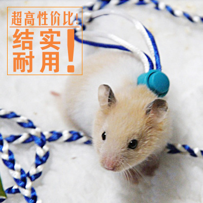 Pet Adjustable Soft Harness Leash Bird Parrot Mouse Hamster