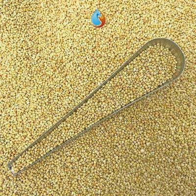 小鸟食饲料鸟灰鹦鹉珍珠鸟鸟吃的营养鸟粮颗粒喜鹊粮食幼鸟鸟食品