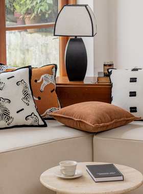 北欧轻奢泰迪绒橙色千里马时尚靠枕轻奢高端雪尼尔沙发别墅靠垫枕