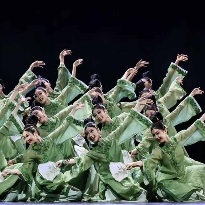 极速艺考练习表演服十三届桃李杯清风徐来舞蹈服刺绣古典舞飘逸演