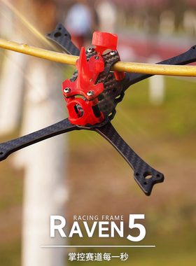 DeepSpace Raven 5寸竞速穿越机机架 FPV轻量化竞赛机 航模配件