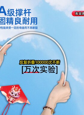 好货龙形风筝微风易飞儿童2025龙年新款大人专用卡通初学者潍坊小