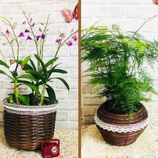 极速北欧防藤编花盆花篮草编手工藤编落地花篮编织花盆