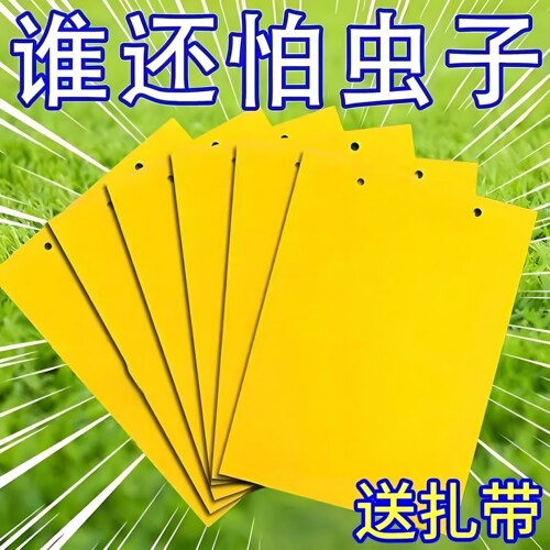 双面黄板粘虫板果园诱捕实蝇蜂