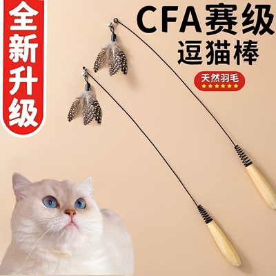 CFA赛级昆虫逗猫棒钢丝杆子猫咪玩具幼猫小猫磨牙耐用羽毛替换