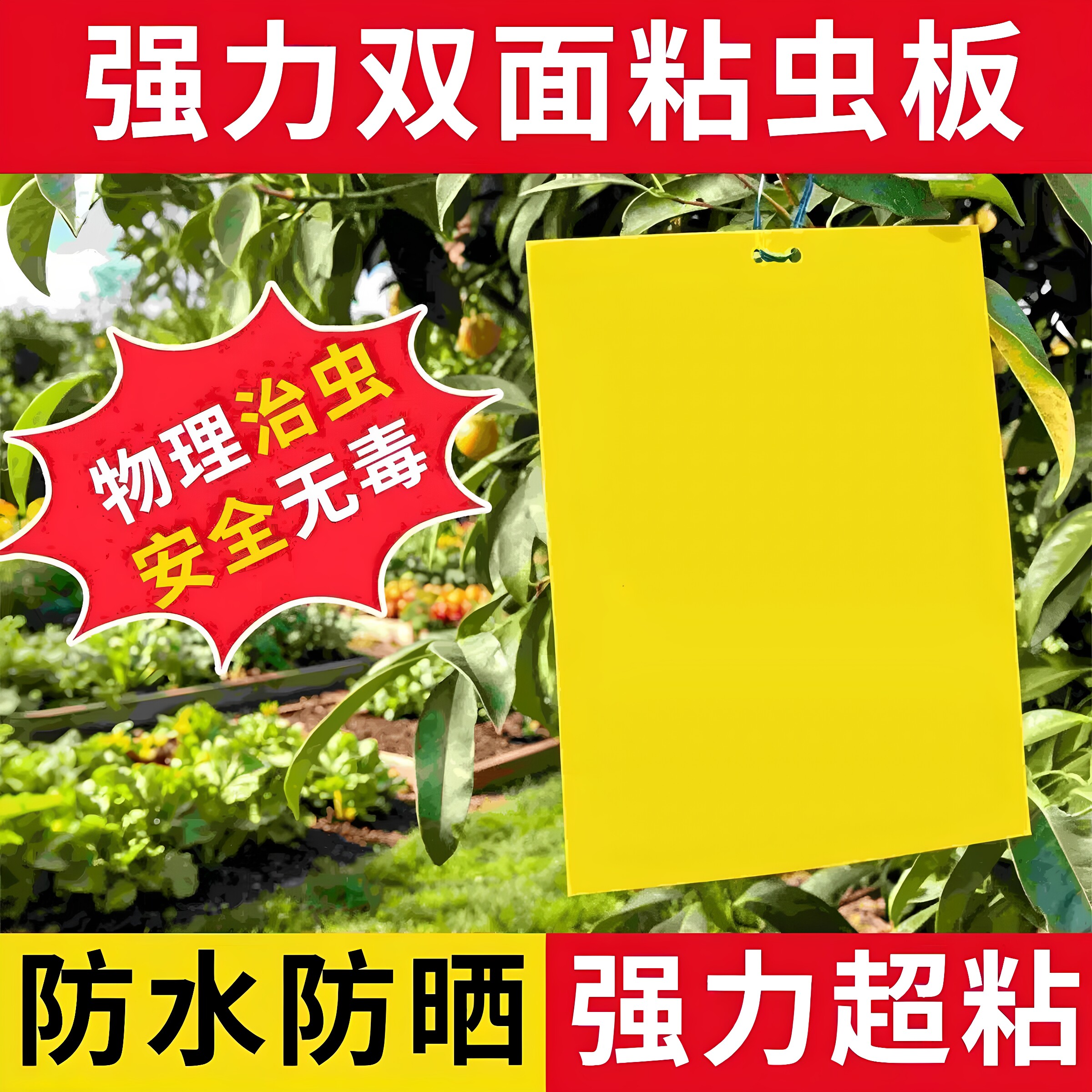 黄板双面粘虫板诱虫板贴纸灭小飞虫沾果蝇诱捕器果园蚊子苍蝇大棚