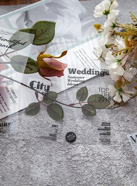 VanYi 20Pcs/pack 8 Designs My Magazine  Long Sticke